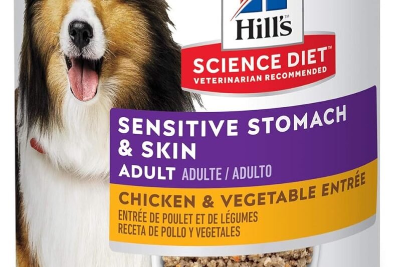 Hill’s Science Diet Sensitive Stomach & Skin, Adult 1-6, Stomach & Skin Sensitivity support, Wet Dog Food, Chicken & Vegetables Loaf, 12.8 oz Can, Case of 12