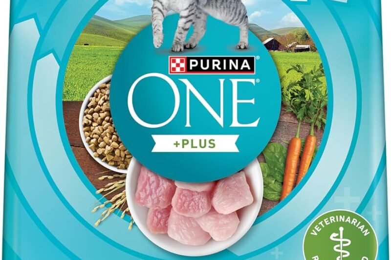 Purina ONE +Plus Dry Cat Food, Indoor Advantage Turkey – 3 kg Bag